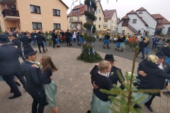 IMG_20241110_111708